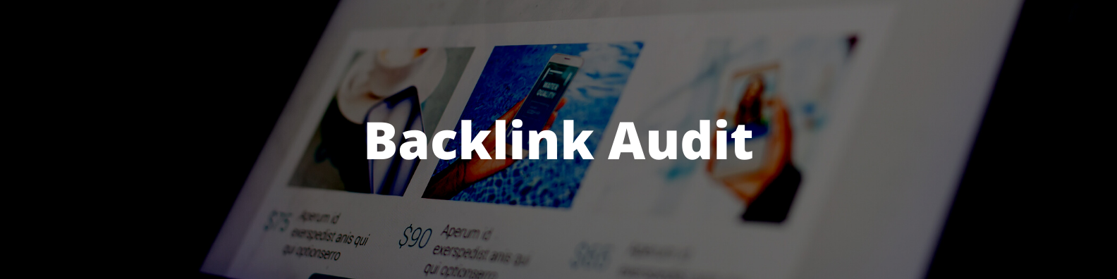 SEO Backlink Audit
